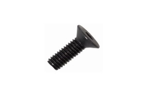 Bosch Befestigungsschraube Protection Cover Performance BDU2xx M4x10 schwarz