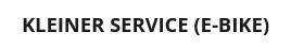 Kleiner Service (E-Bike)